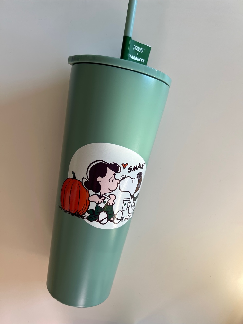 Starbucks peanuts stainless steel cold cup 2026 fall limited edition